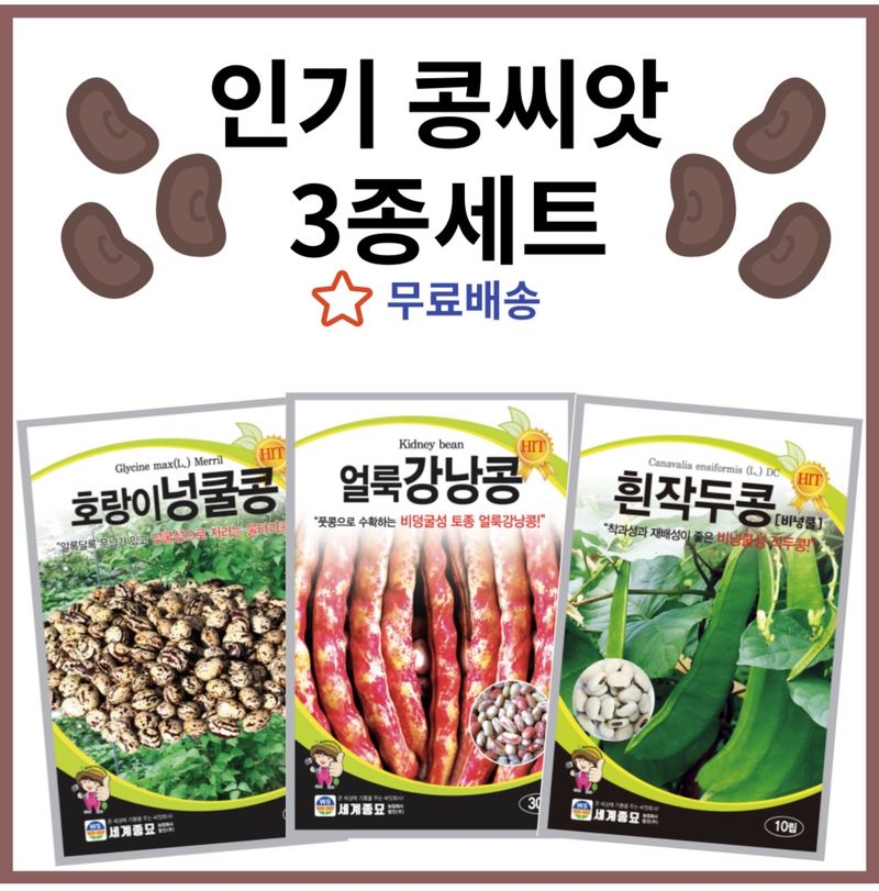 장터 상품 [인기 콩씨앗 종자 3종세트 (얼룩강낭콩 호랑이강낭콩  작두콩)] 썸네일