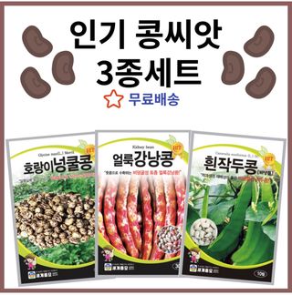 주주씨앗님의 작성글 사진