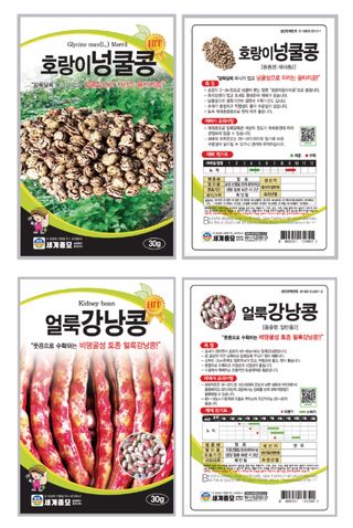 주주씨앗님의 작성글 사진