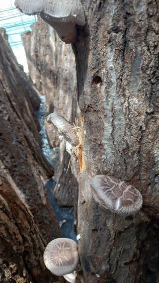 파란농원님의 작성글 사진