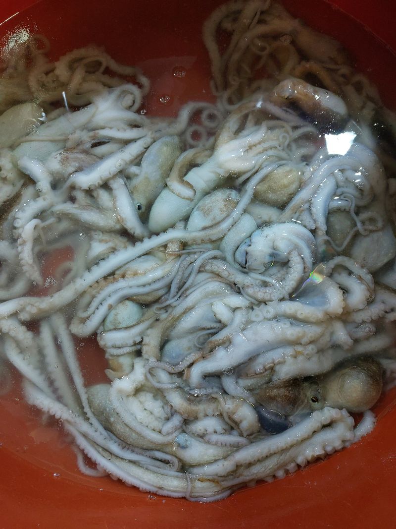 목포제주수산님의 장터 판매 상품 [국내산 냉동낙지 1팩] 첨부 사진