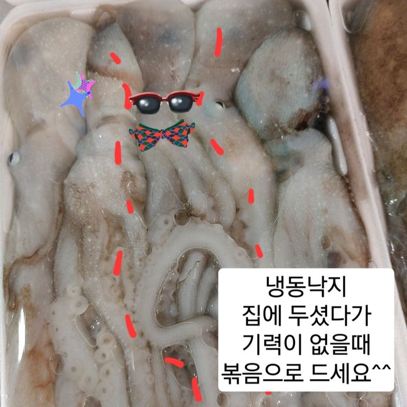 목포제주수산님의 장터 판매 상품 [국내산 냉동낙지 1팩] 첨부 사진