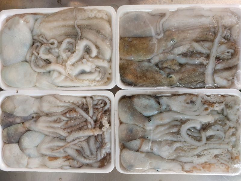 목포제주수산님의 장터 판매 상품 [국내산 냉동낙지 1팩] 첨부 사진