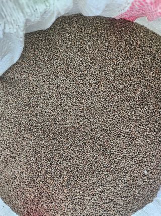 해풍님의 작성글 사진