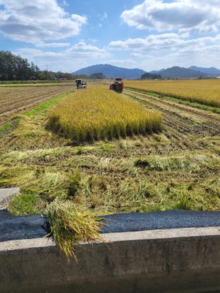 김영진(전남영광)님의 자유주제 · 자유게시판 작성글 사진