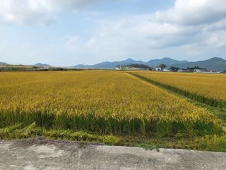 김영진(전남영광)님의 자유주제 · 자유게시판 작성글 사진