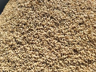 김영진(전남영광)님의 자유주제 · 자유게시판 작성글 사진