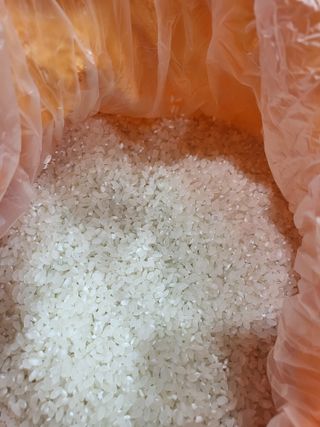 김영진(전남영광)님의 자유주제 · 자유게시판 작성글 사진