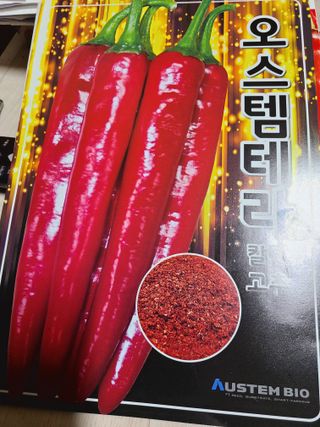 착한농부 안병하님의 고추·토양준비 작성글 사진