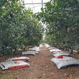 팜모닝 2월 내 작물 자랑하기·참여글 게시글 이미지