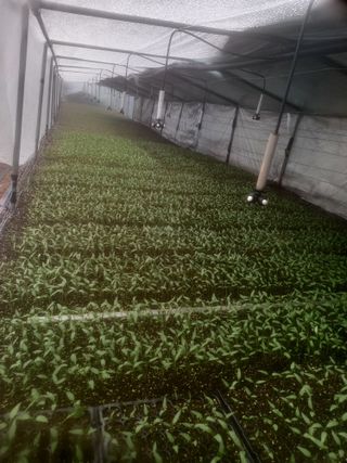 알 수 없음님의 2월 내 작물 자랑하기 · 참여글 작성글 사진