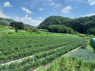 알 수 없음님의 2월 내 작물 자랑하기 · 참여글 작성글 사진