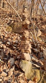 팜모닝 자유주제·자유게시판 게시글 이미지