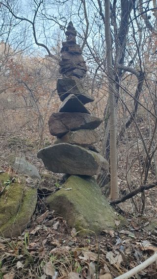 세미골곶감님의 자유주제 · 자유게시판 작성글 사진