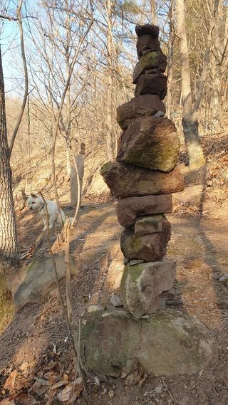 세미골곶감님의 자유주제 · 자유게시판 작성글 사진