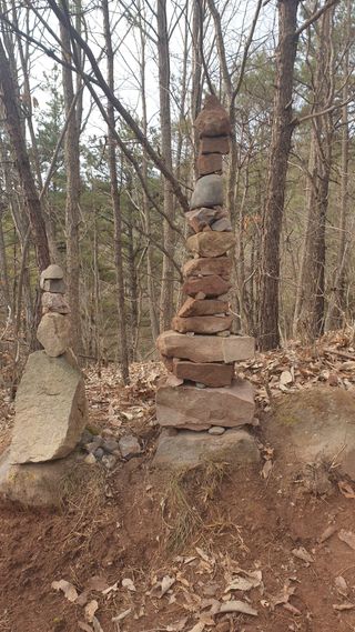 세미골곶감님의 자유주제 · 자유게시판 작성글 사진