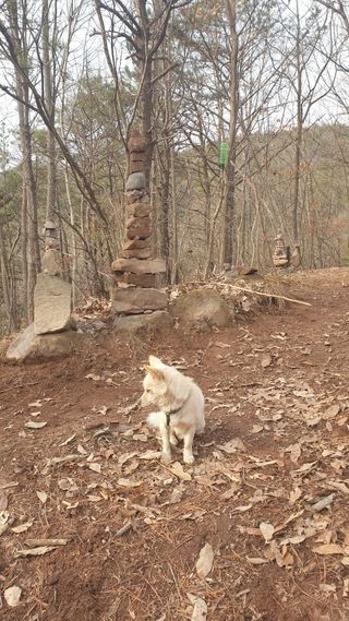 세미골곶감님의 자유주제 · 자유게시판 작성글 사진