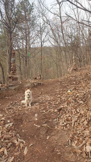 세미골곶감님의 자유주제 · 자유게시판 작성글 사진