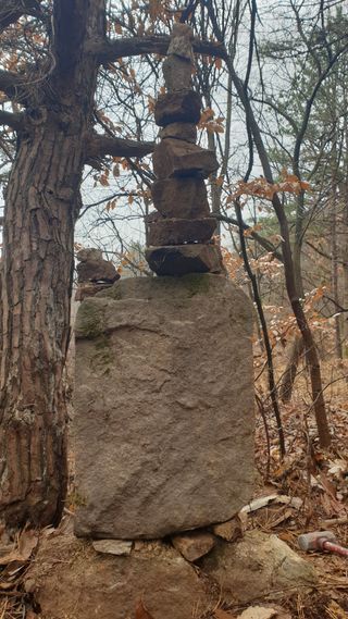 세미골곶감님의 자유주제 · 자유게시판 작성글 사진