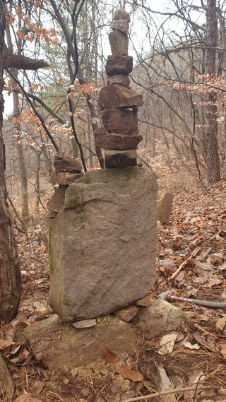 세미골곶감님의 자유주제 · 자유게시판 작성글 사진