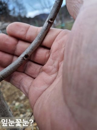 풍요님의 기타작물 · 자유게시판 작성글 사진