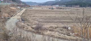 고래심님의 자유주제 · 자유게시판 작성글 사진