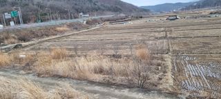 고래심님의 자유주제 · 자유게시판 작성글 사진