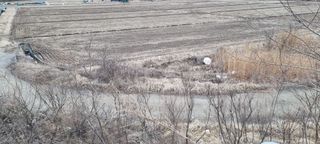 고래심님의 자유주제 · 자유게시판 작성글 사진