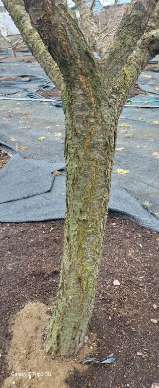 이종수님의 감 · 자유게시판 작성글 사진