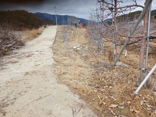 알 수 없음님의 우리동네 · 동네수다 작성글 사진