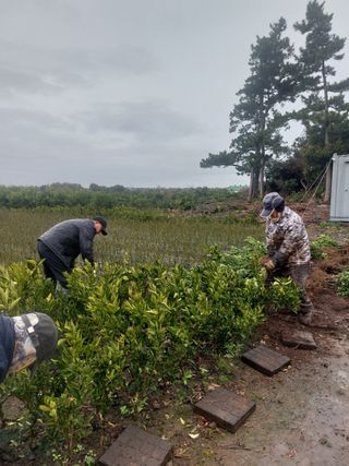 참깨8508님의 2월 내 작물 자랑하기 · 참여글 작성글 사진