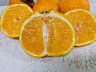 새달귤농장님의 작성글 사진