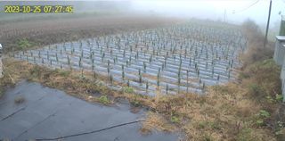 박인화님의 2월 내 작물 자랑하기 · 참여글 작성글 사진