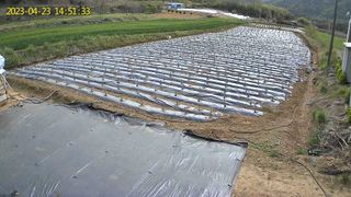 박인화님의 2월 내 작물 자랑하기 · 참여글 작성글 사진