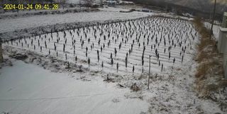 박인화님의 2월 내 작물 자랑하기 · 참여글 작성글 사진