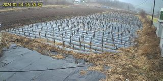 박인화님의 2월 내 작물 자랑하기 · 참여글 작성글 사진