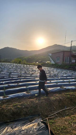 박인화님의 2월 내 작물 자랑하기 · 참여글 작성글 사진