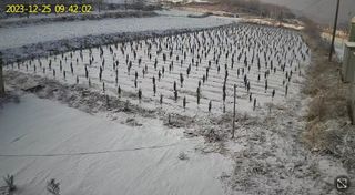 박인화님의 2월 내 작물 자랑하기 · 참여글 작성글 사진