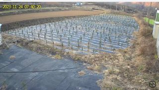 박인화님의 2월 내 작물 자랑하기 · 참여글 작성글 사진