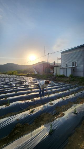 박인화님의 2월 내 작물 자랑하기 · 참여글 작성글 사진