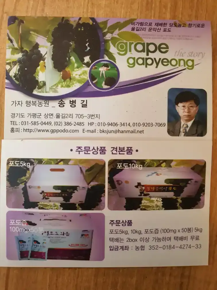 송병길님의 장터 판매 상품 [탐스럽고 싱그러운 가평 운악산 비가림 재배 포도 가 한] 첨부 사진