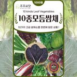 팜모닝 · 게시글 이미지