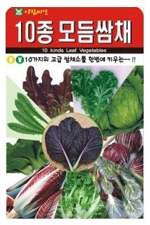 주주씨앗님의 작성글 사진