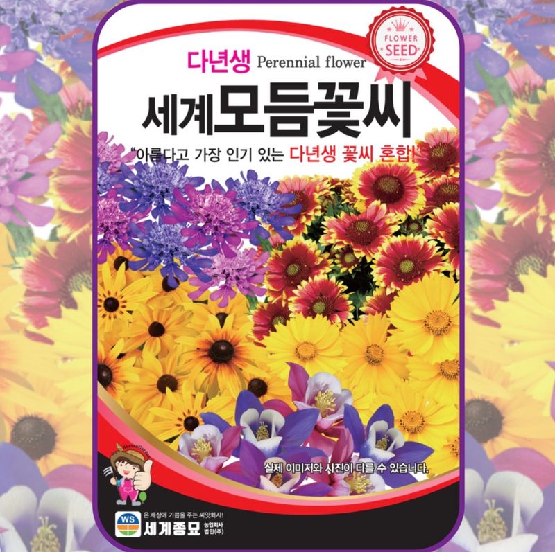 장터 상품 [다년생 세계모듬 꽃씨 씨앗 종자] 썸네일
