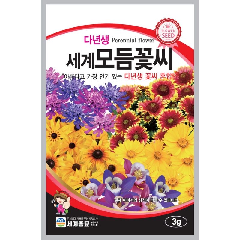 주주씨앗님의 장터 판매 상품 [다년생 세계모듬 꽃씨 씨앗 종자] 첨부 사진