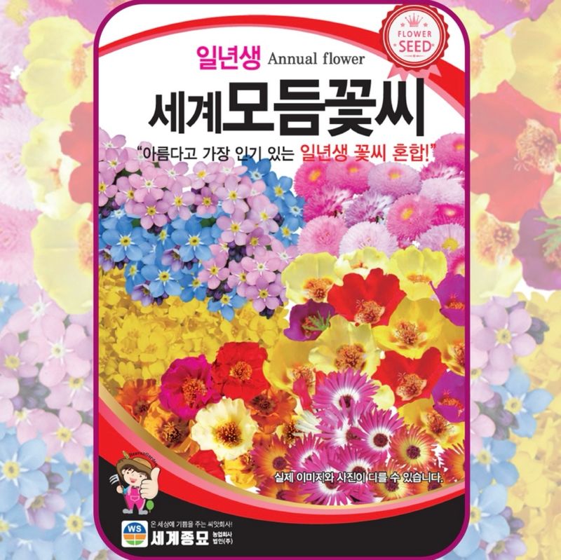 장터 상품 [일년생 세계모듬 꽃씨 씨앗 종자] 썸네일