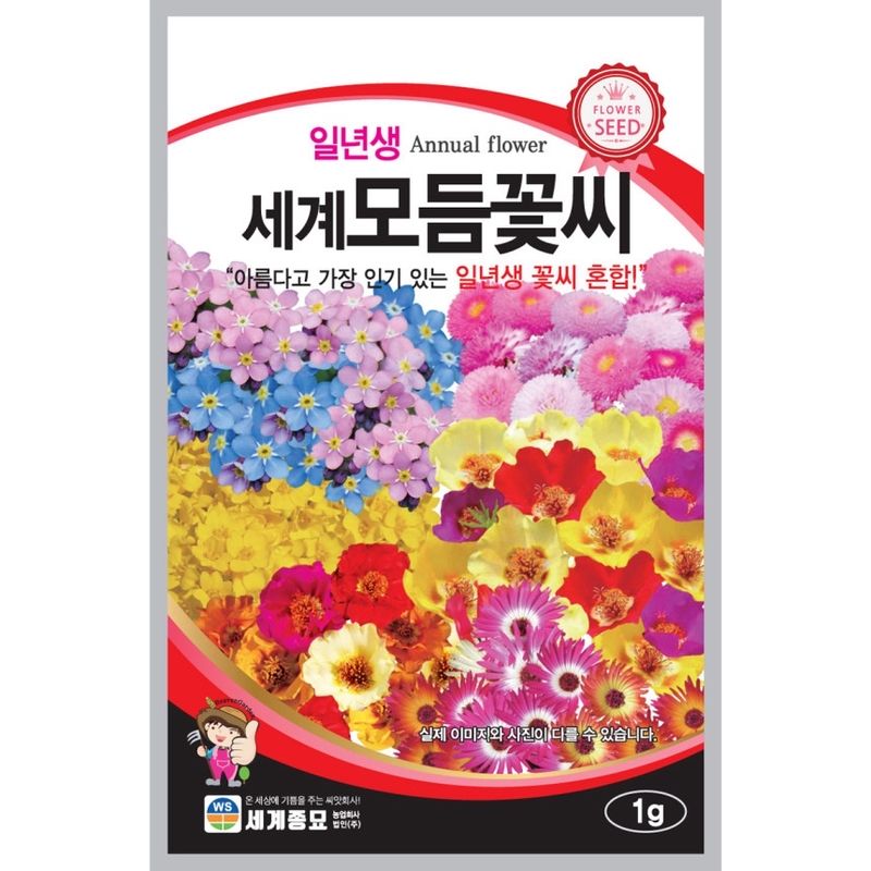 주주씨앗님의 장터 판매 상품 [일년생 세계모듬 꽃씨 씨앗 종자] 첨부 사진