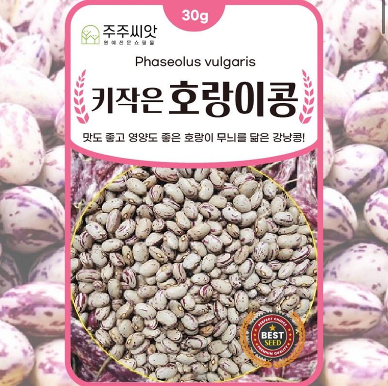 장터 상품 [키작은 호랑이콩 씨앗 비넝쿨 강낭콩 왜성종 씨앗 종자] 썸네일
