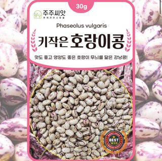 주주씨앗님의 작성글 사진