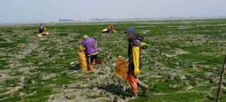 커피한잔의여유님의 작성글 사진